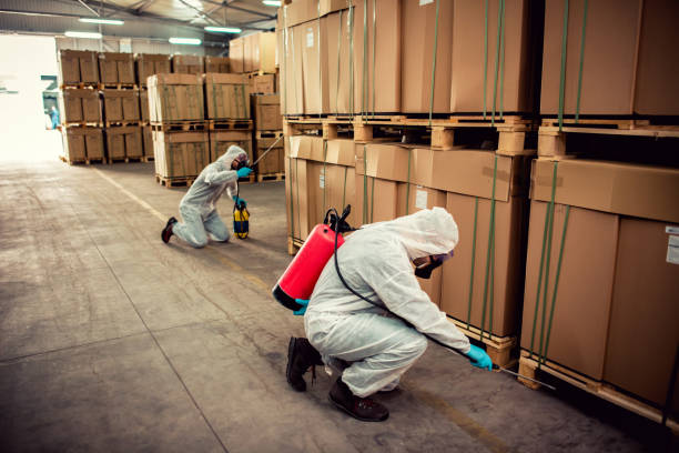 Best Pest Control Near Me  in Sheridan, CA