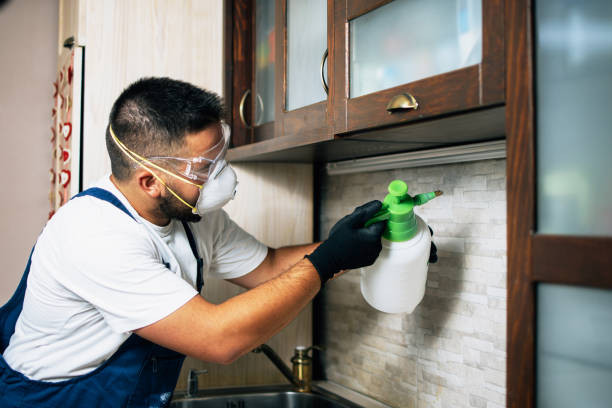 Best Pest Inspection Near Me  in Sheridan, CA