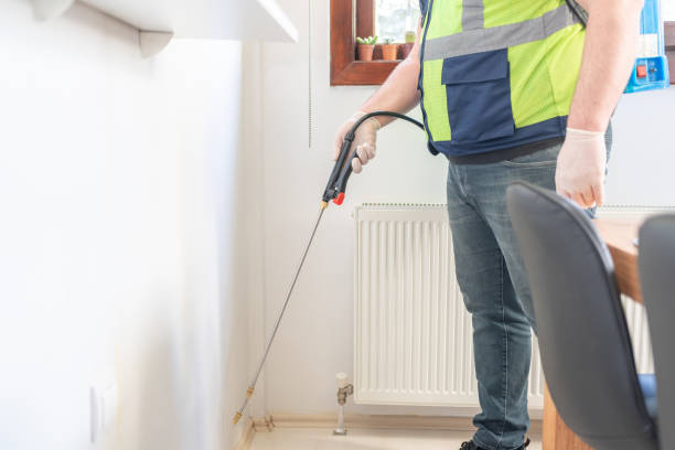 Best Local Pest Control Services  in Sheridan, CA